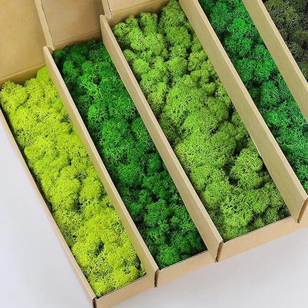 Sphagnum Moss Dry - 20-200g plantas verdes artificiais grama falsa