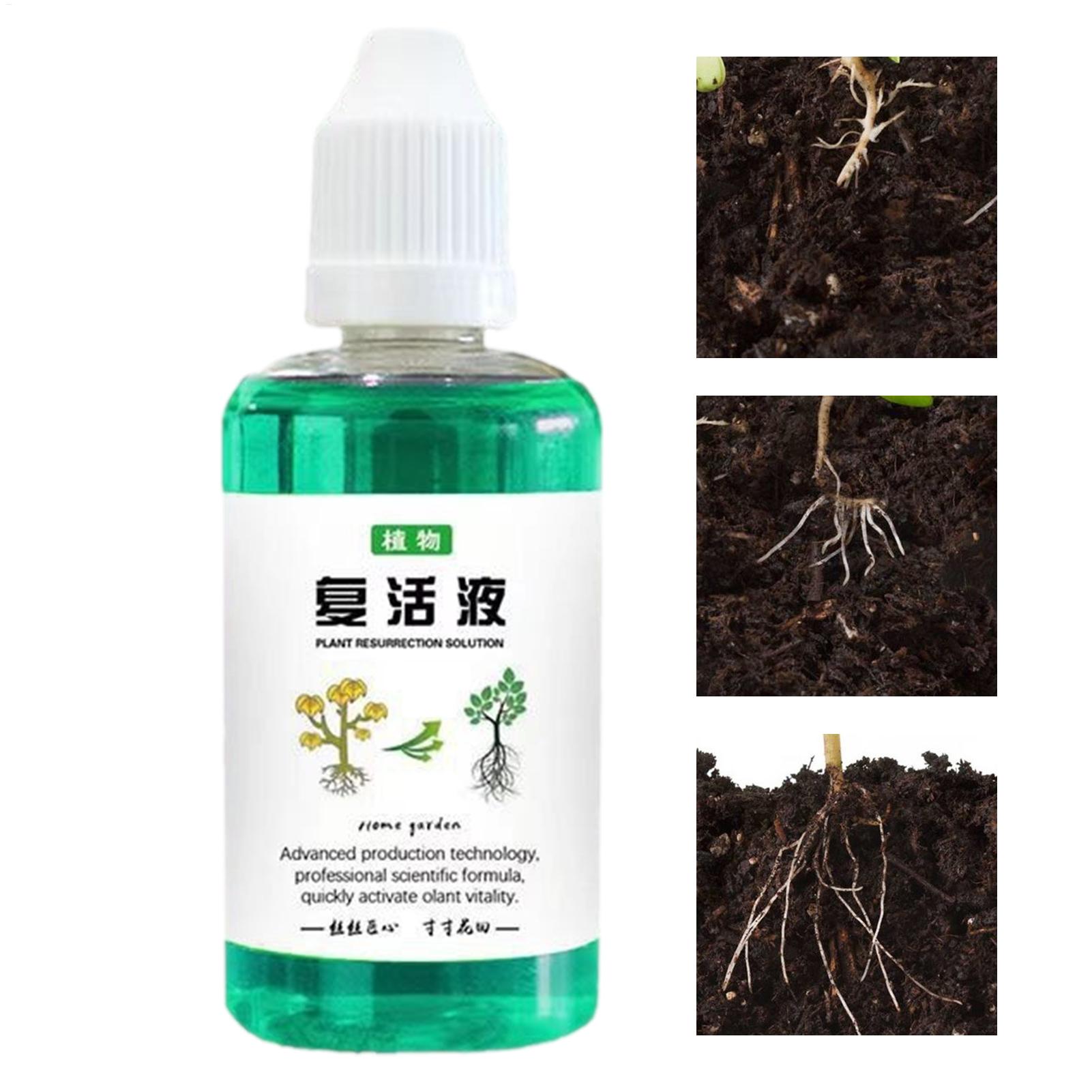 Root Stimulator Liquid - Estimulador de Raízes 50ml: Líquido Revitalizante