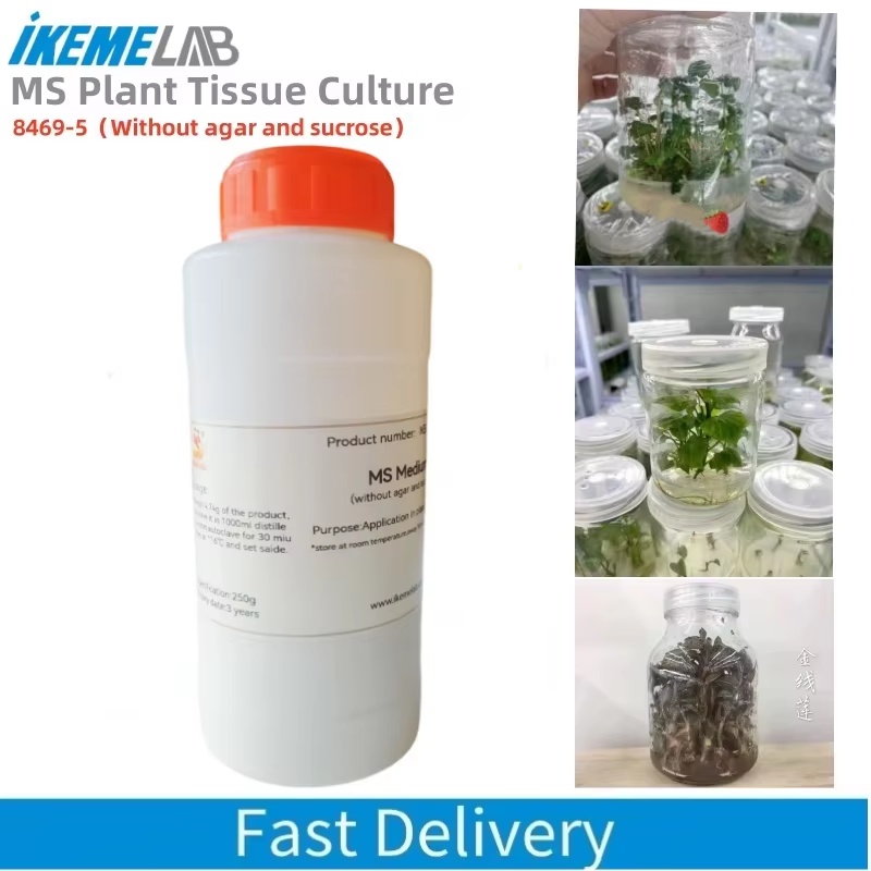 Agar Tissue Culture - IKEME 250g Lab MS Médio Sem