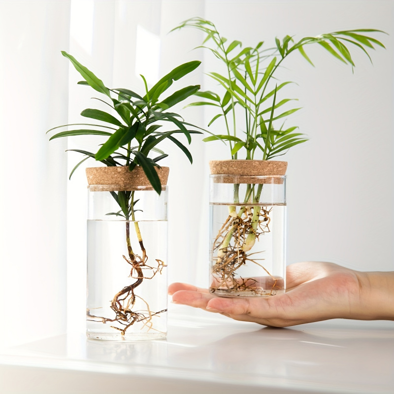 Propagation Station Vase - Hidroponia Plantas Vaso para Decoração de