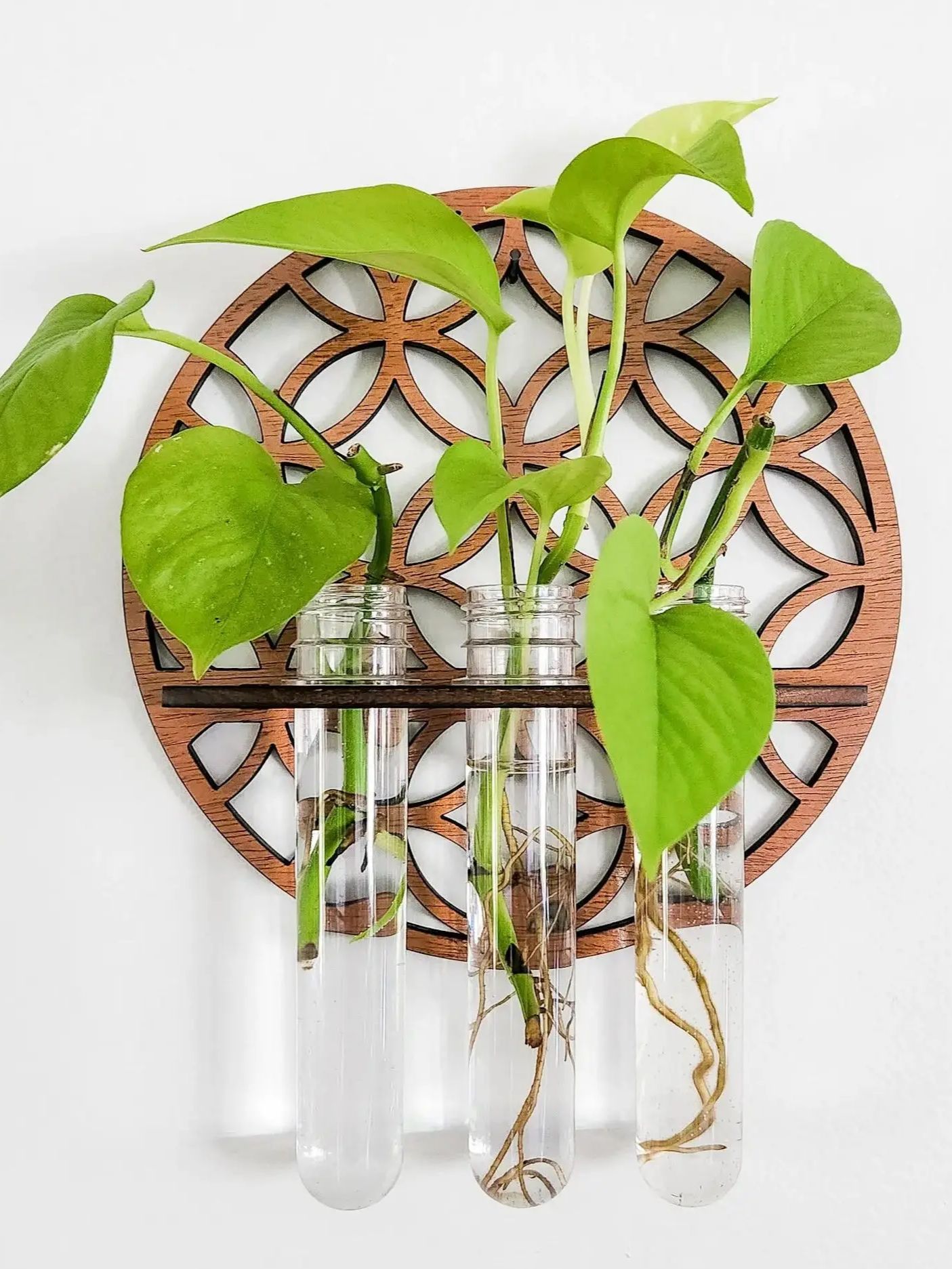 Propagation Station Vase - Jardim plantadores de parede interior círculo