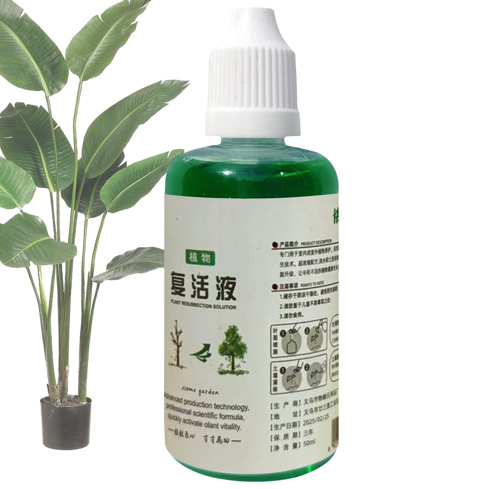 Root Stimulator Liquid - Estimulador de Raízes Líquido Revitalizante para