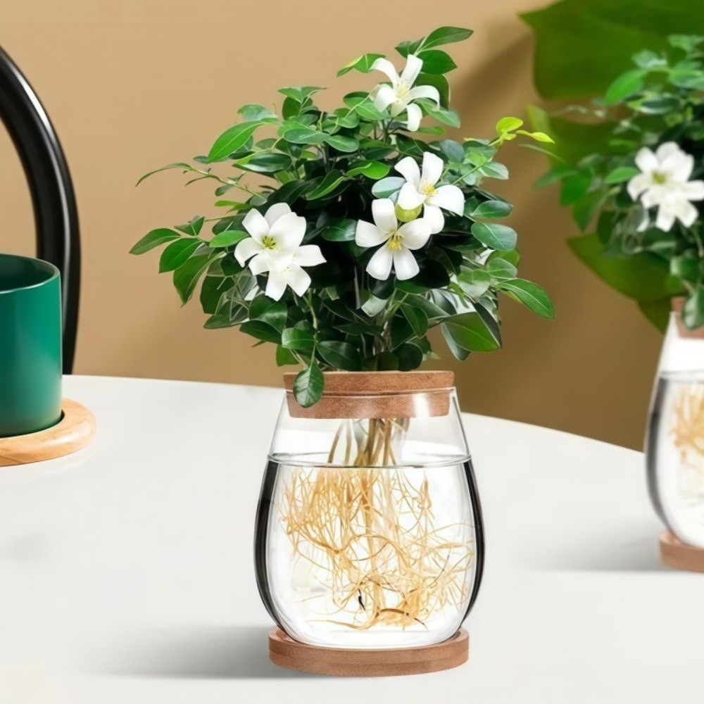 Propagation Station Vase - Vaso Hidropônico Transparente com Bandeja de