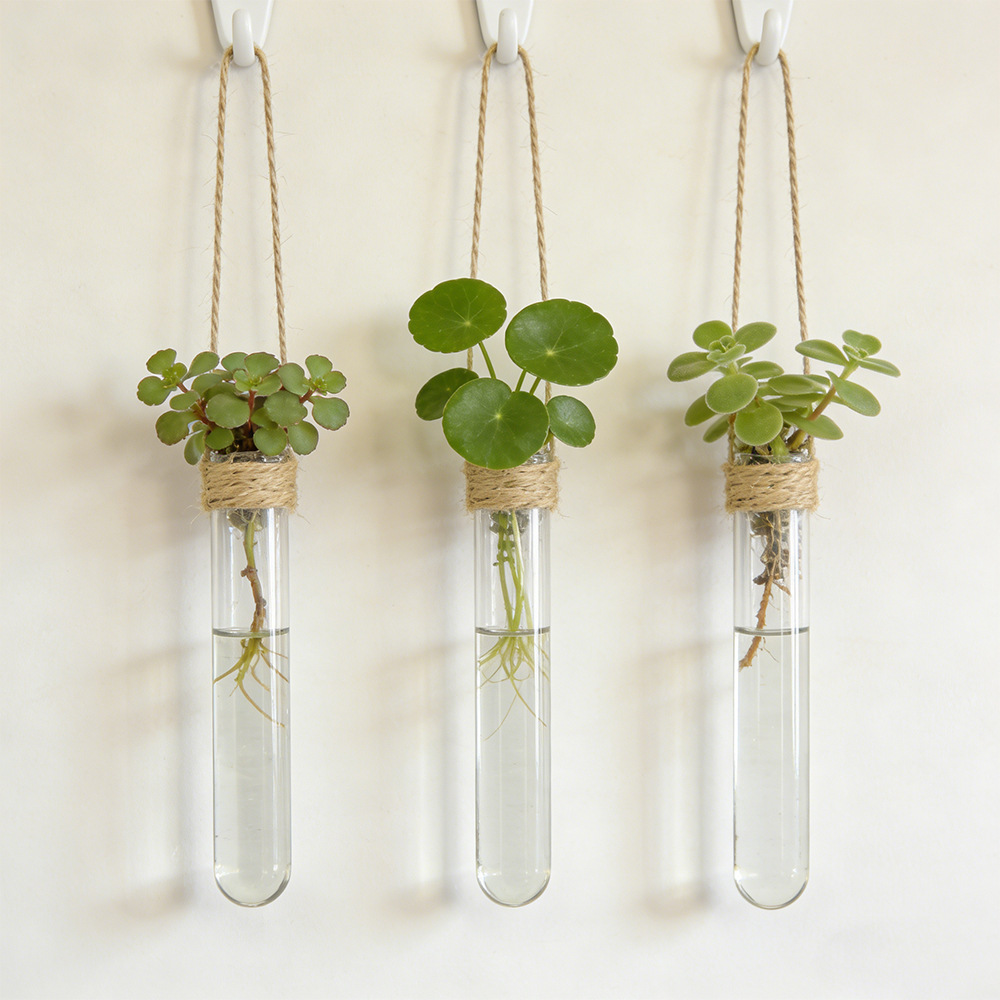 Propagation Station Vase - Vaso Hidropônico de Parede com Tubos