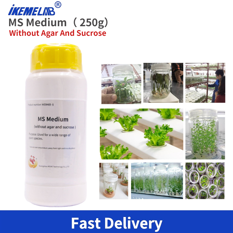 Agar Tissue Culture - IKEME Lab MS Médio 250g Sem