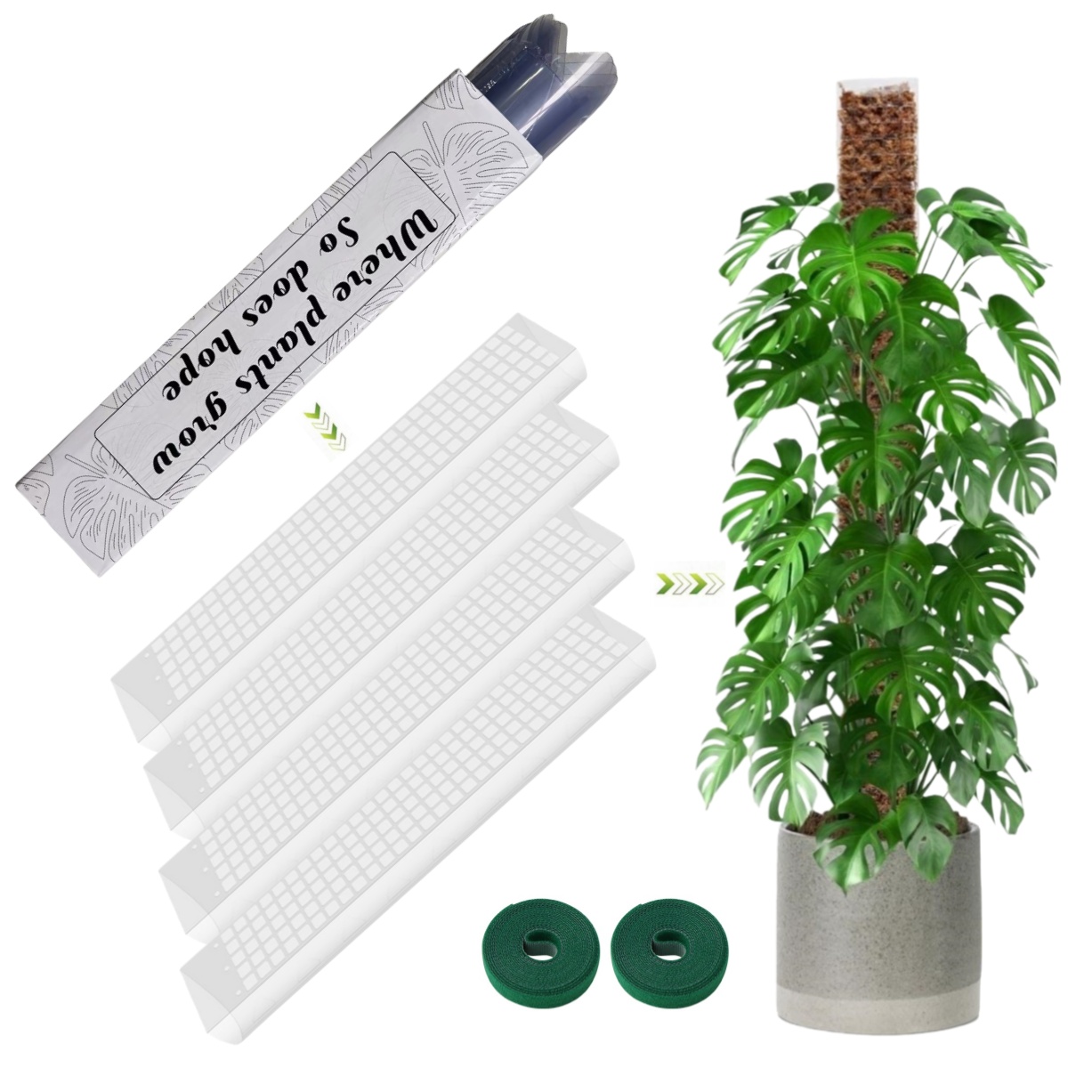 Sphagnum Moss Dry - Suporte de Plástico para Plantas Trepadeiras