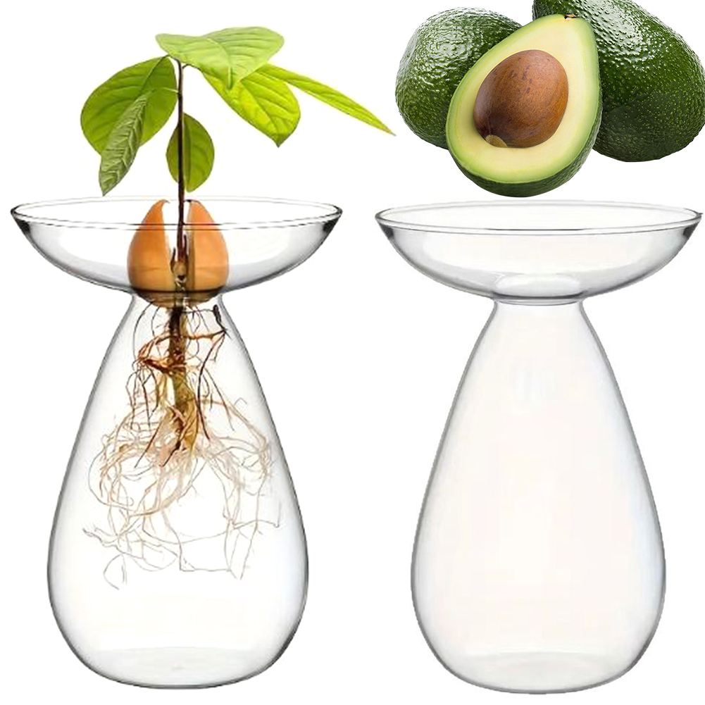 Propagation Station Vase - Vaso Hidropônico Transparente para Germinação de