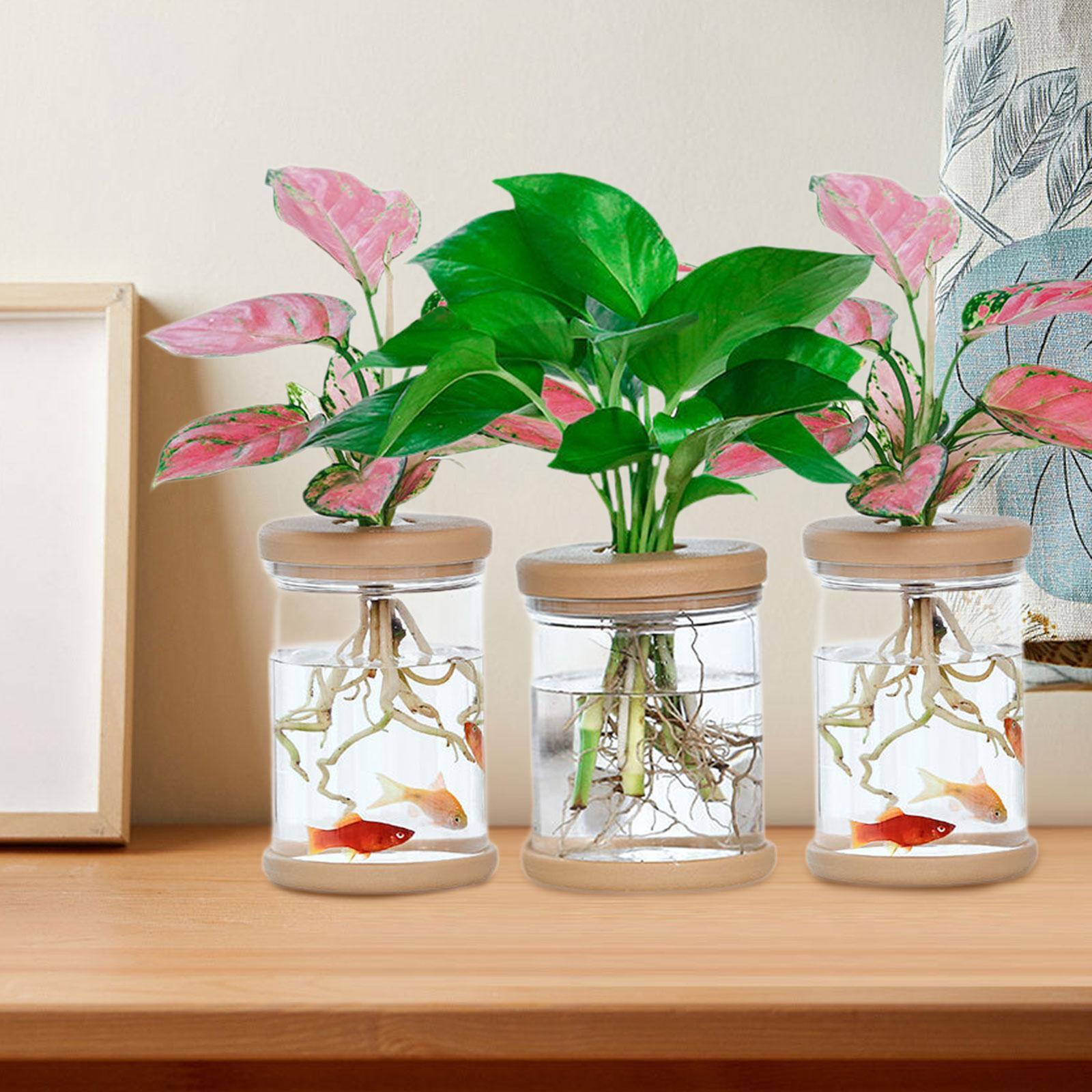 Propagation Station Vase - 3 unidades de vasos de flores