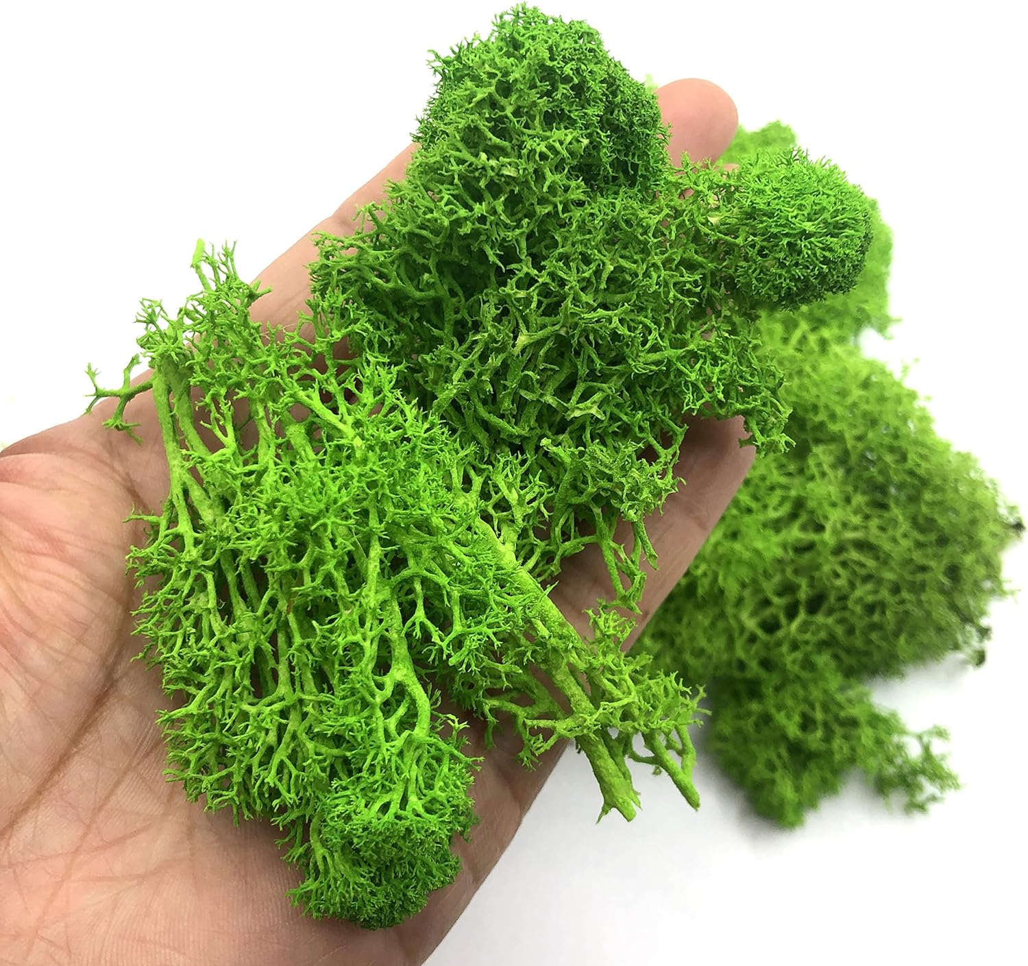 Sphagnum Moss Dry - 200g plantas verdes artificiais mini paisagem