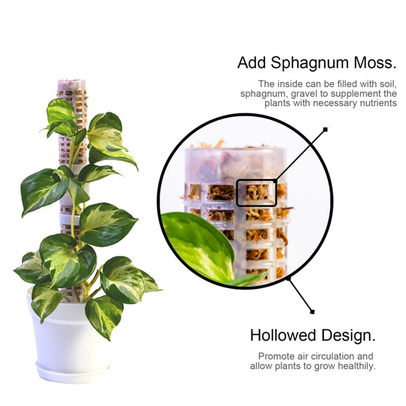 Sphagnum Moss Dry - Coluna de Suporte para Plantas Trepadeiras