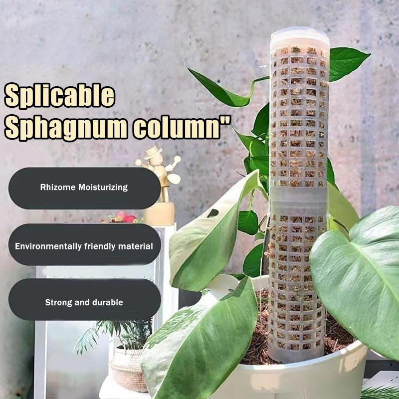 Sphagnum Moss Dry - 6 Peças de Suportes de Plástico