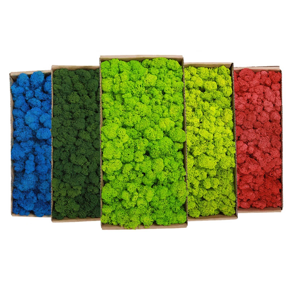 20-200g plantas verdes artific - Sphagnum Moss Dry avaliação e preço