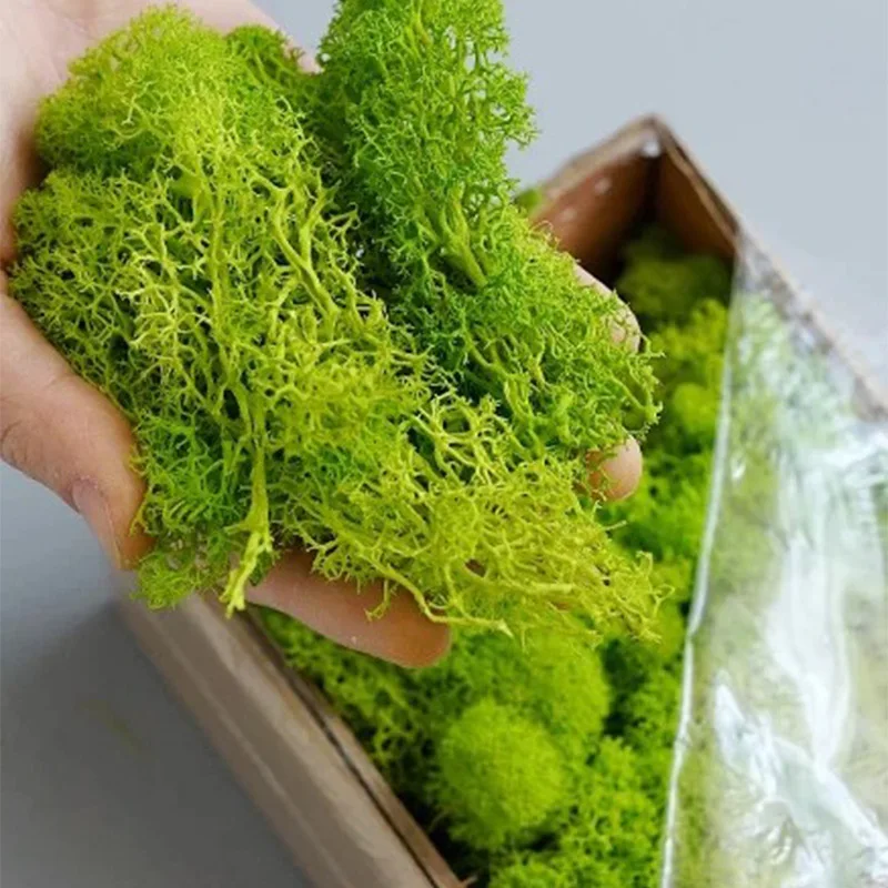 20-200g plantas verdes artific - Sphagnum Moss Dry avaliação e preço