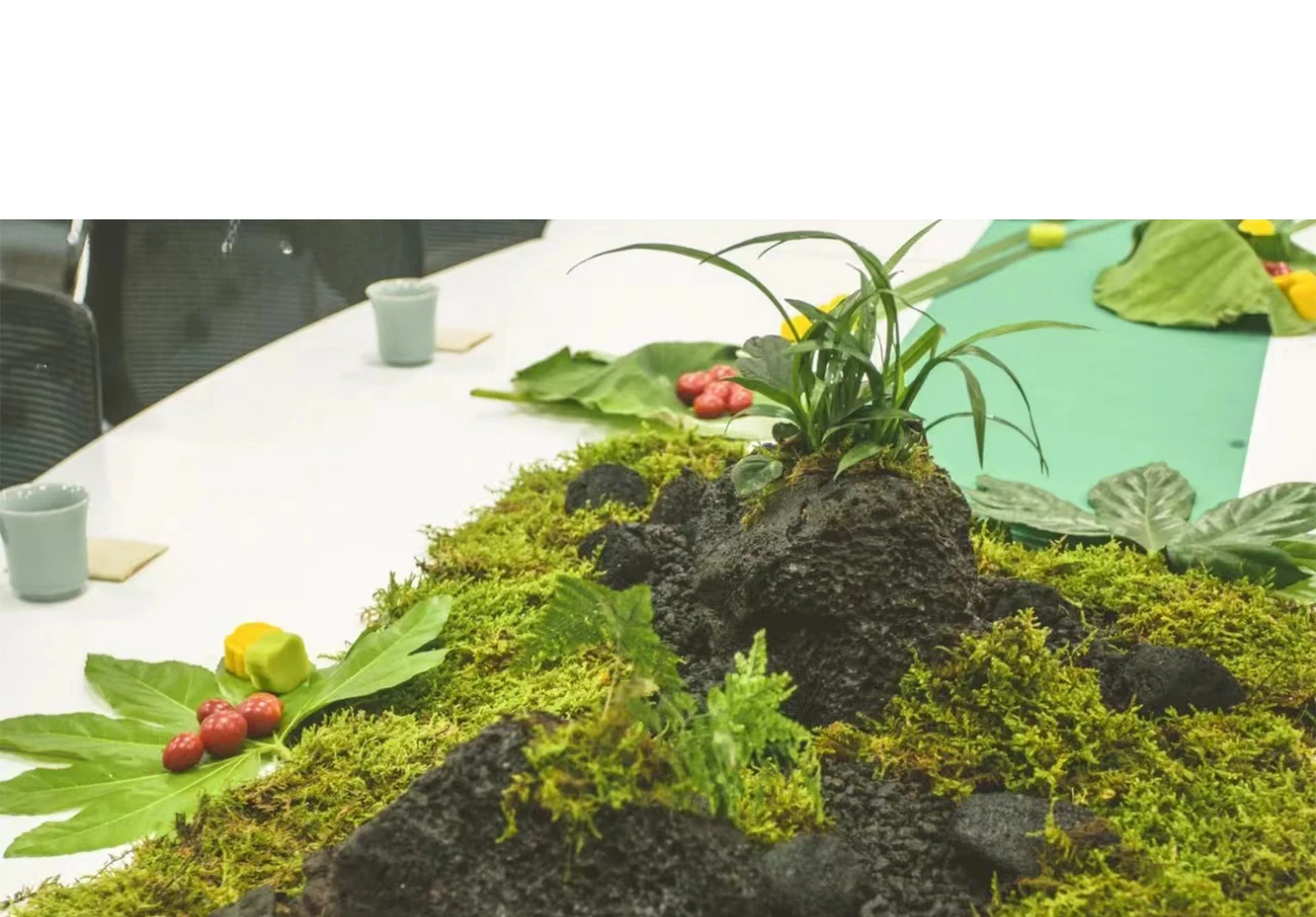 Falso musgo artificial musgo p - Sphagnum Moss Dry avaliação e preço