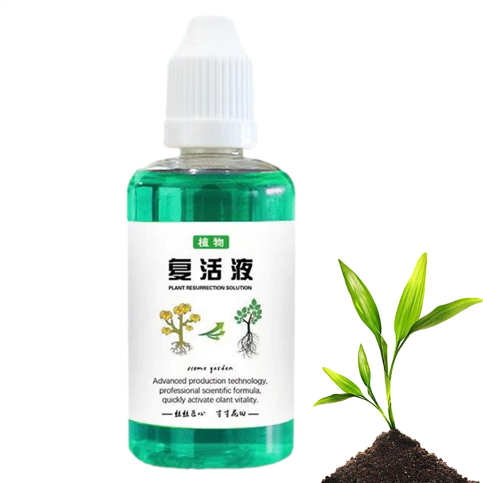 Estimulador de Raízes 50ml: Lí - Root Stimulator Liquid avaliação e preço
