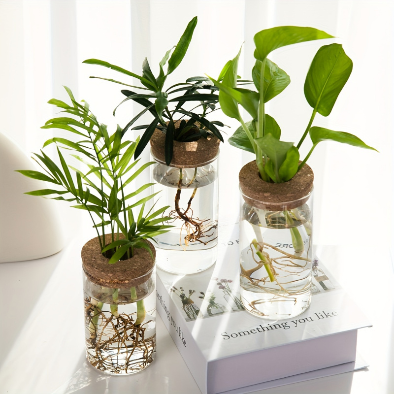 Hidroponia Plantas Vaso para D - Propagation Station Vase avaliação e preço