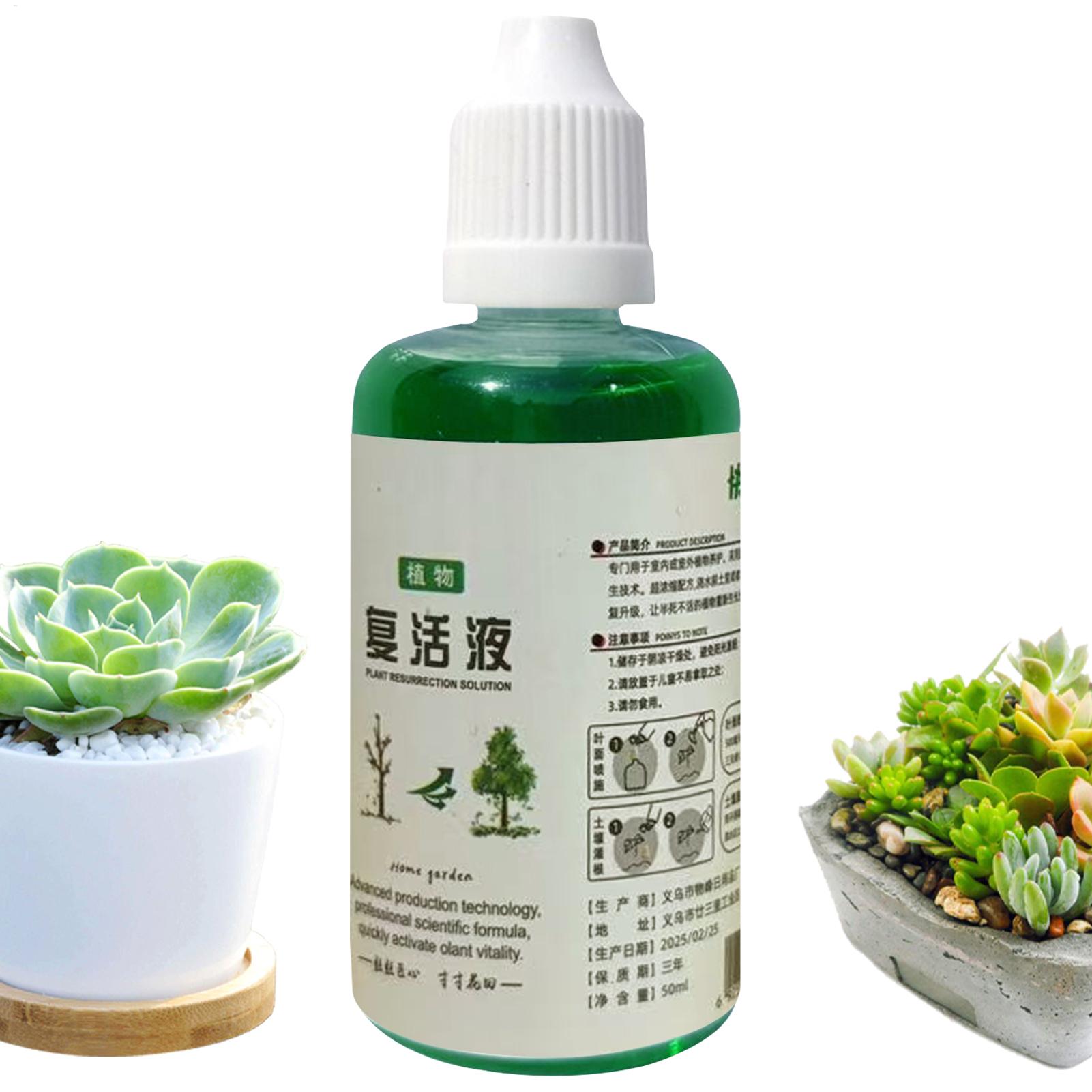 Estimulador de Raízes Líquido  - Root Stimulator Liquid avaliação e preço