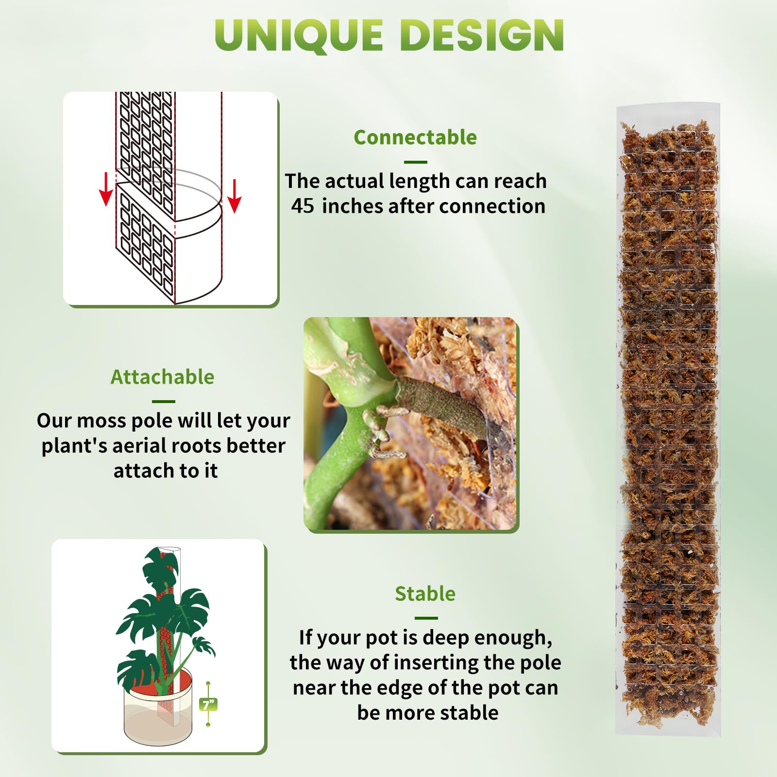 24/36/48 Polegada planta de es - Sphagnum Moss Dry avaliação e preço