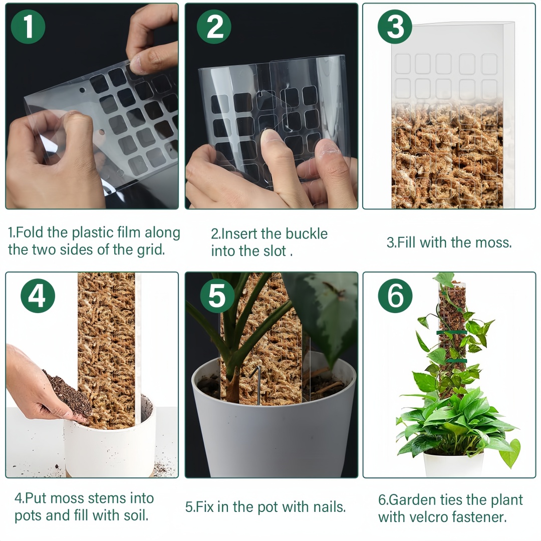 Pólo de musgo plástico planta  - Sphagnum Moss Dry avaliação e preço