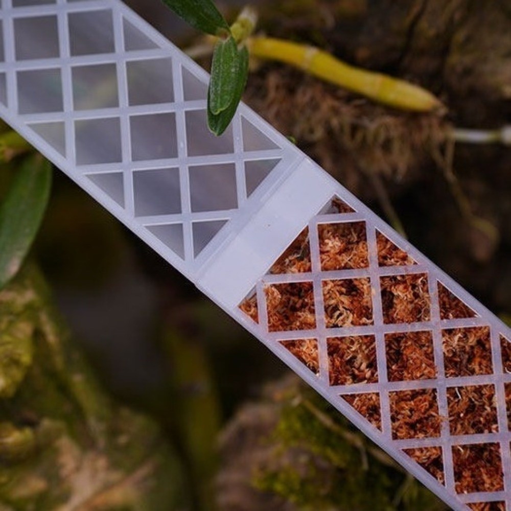 Suporte de Crescimento para Pl - Sphagnum Moss Dry avaliação e preço