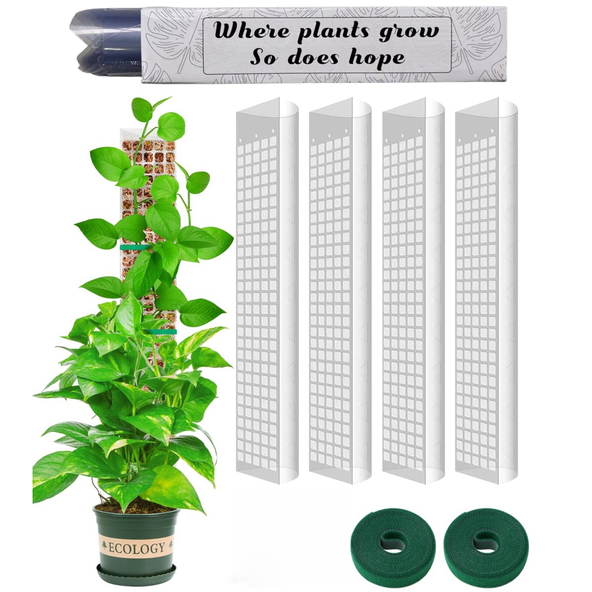 Suporte de Plástico para Plant - Sphagnum Moss Dry avaliação e preço