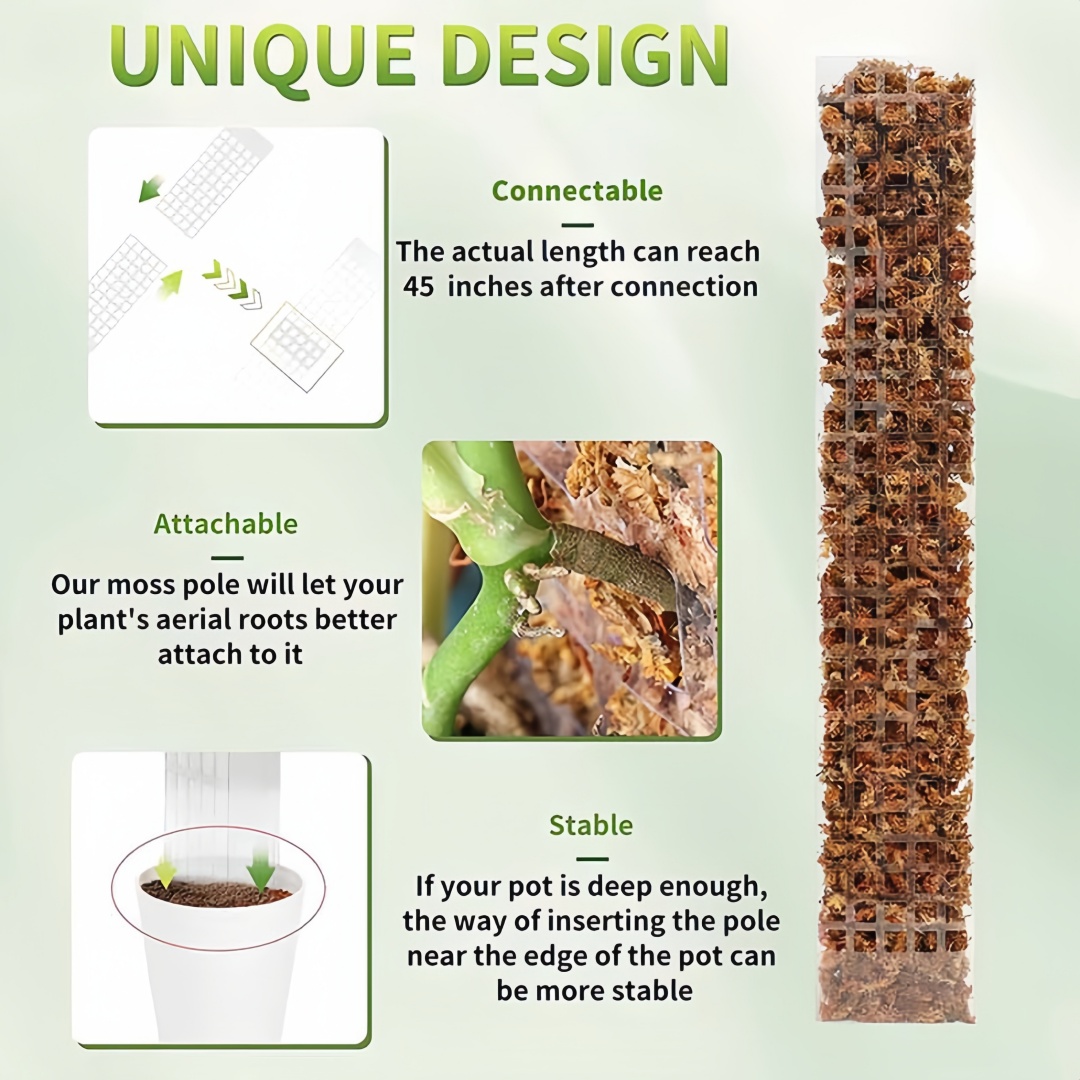 Suporte de Plástico para Plant - Sphagnum Moss Dry avaliação e preço