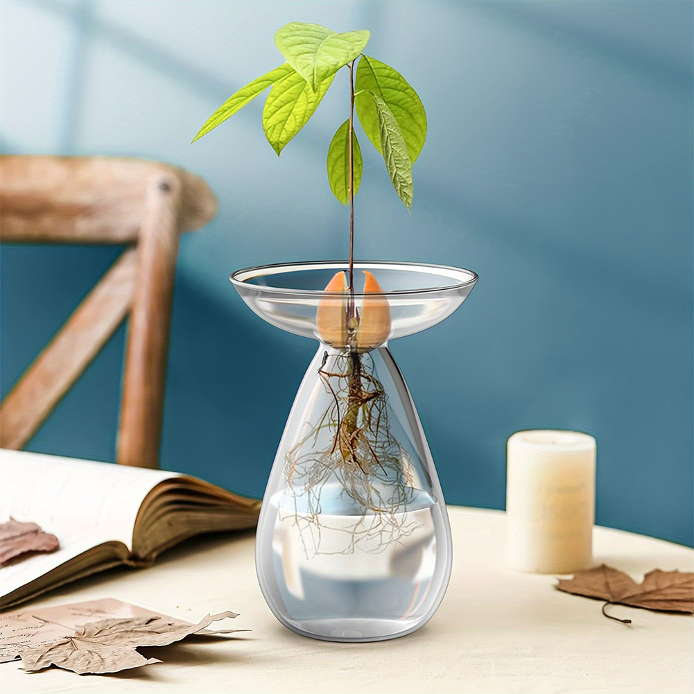 Vaso Hidropônico Transparente  - Propagation Station Vase avaliação e preço