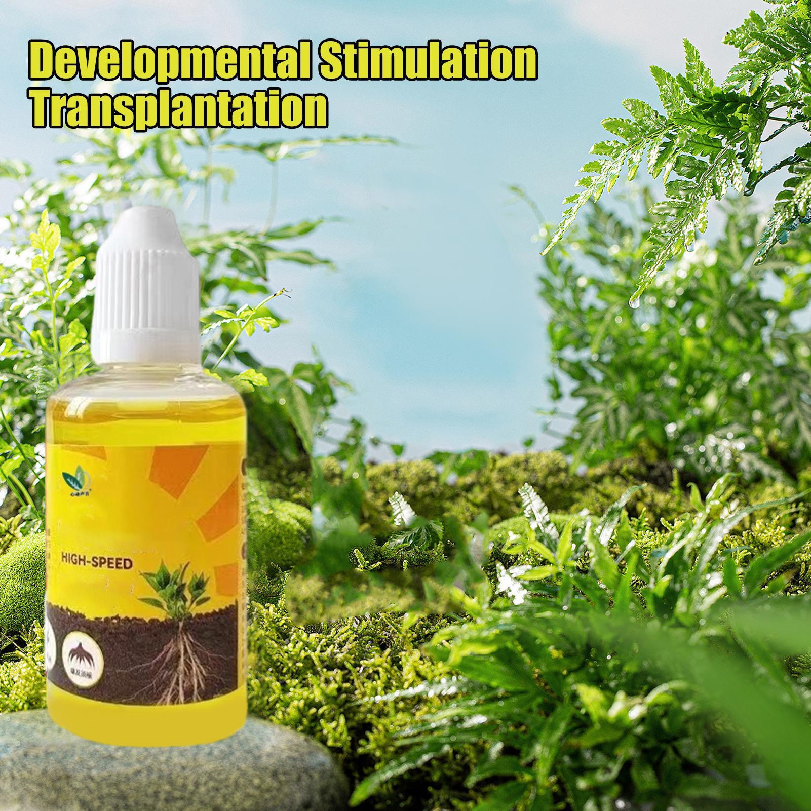 50ml estimulador de enraizamen - Root Stimulator Liquid avaliação e preço