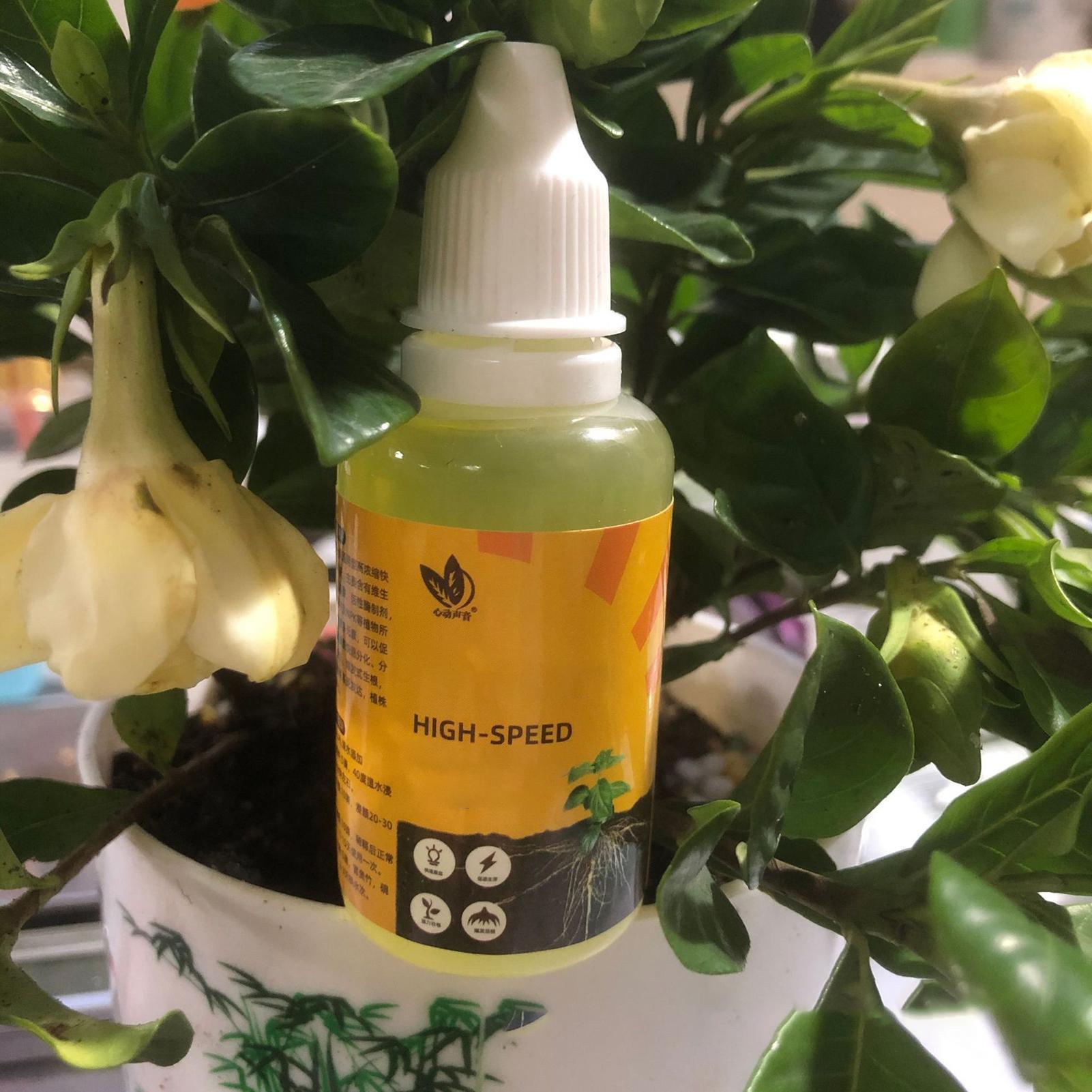 Estimulador de Enraizamento de - Root Stimulator Liquid avaliação e preço