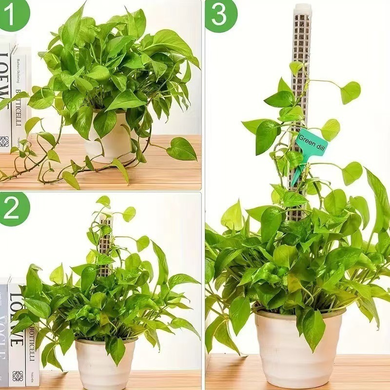 1/2/3 Peças Coluna de Musgo Au - Sphagnum Moss Dry avaliação e preço
