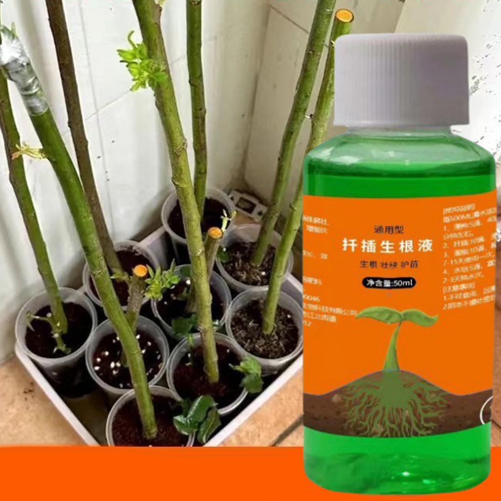 Estimulador de Raízes de Alta  - Root Stimulator Liquid avaliação e preço