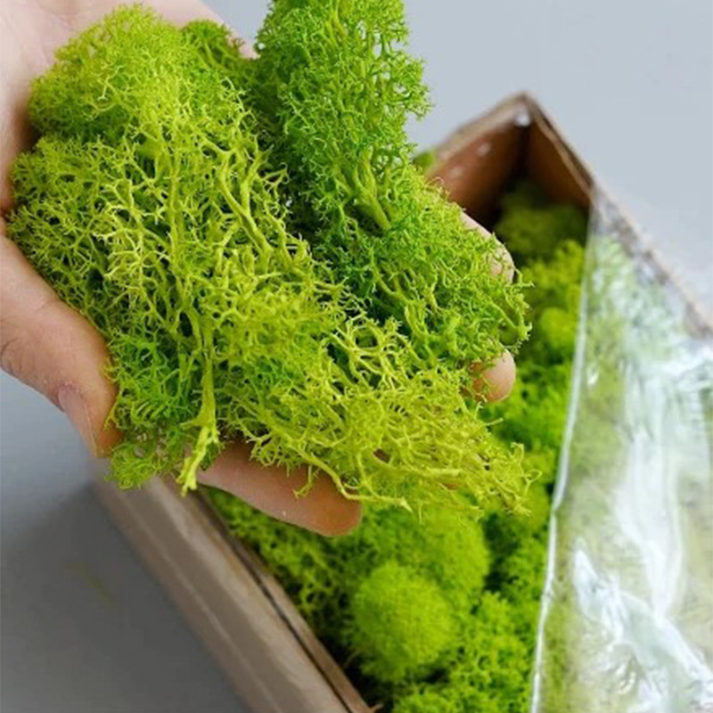 200g plantas verdes artificiai - Sphagnum Moss Dry avaliação e preço