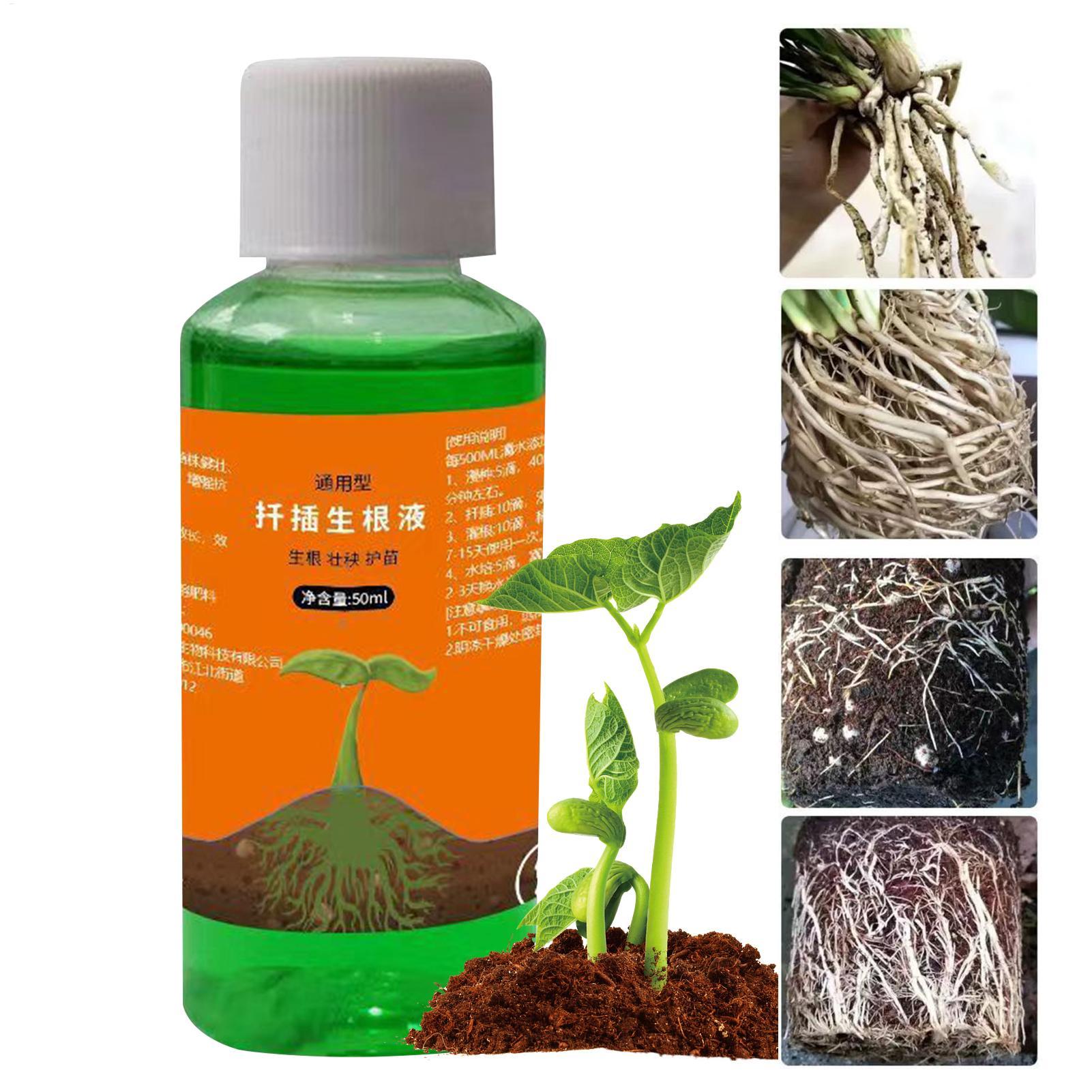 Solução nutritiva para transpl - Root Stimulator Liquid avaliação e preço