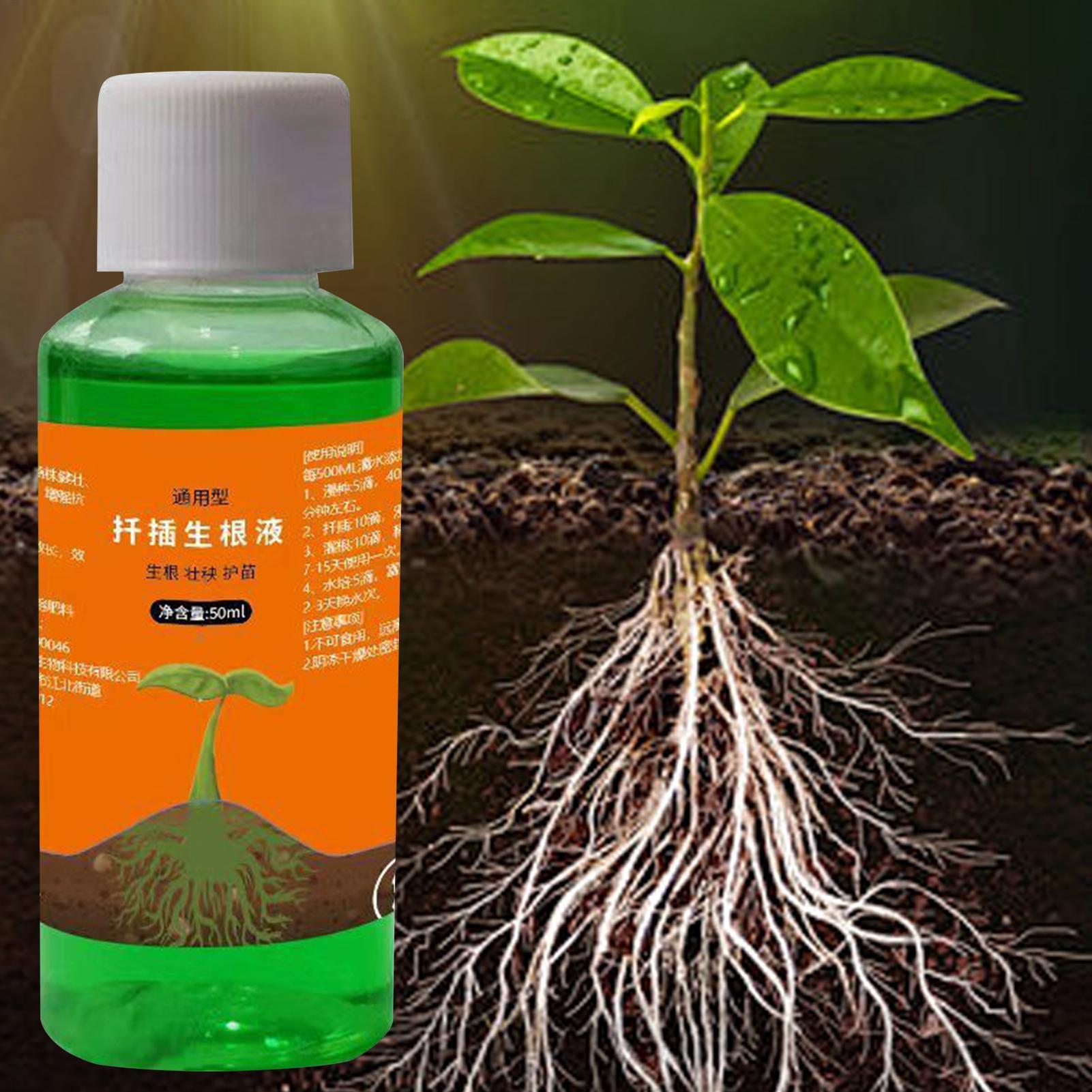 Solução nutritiva para transpl - Root Stimulator Liquid avaliação e preço
