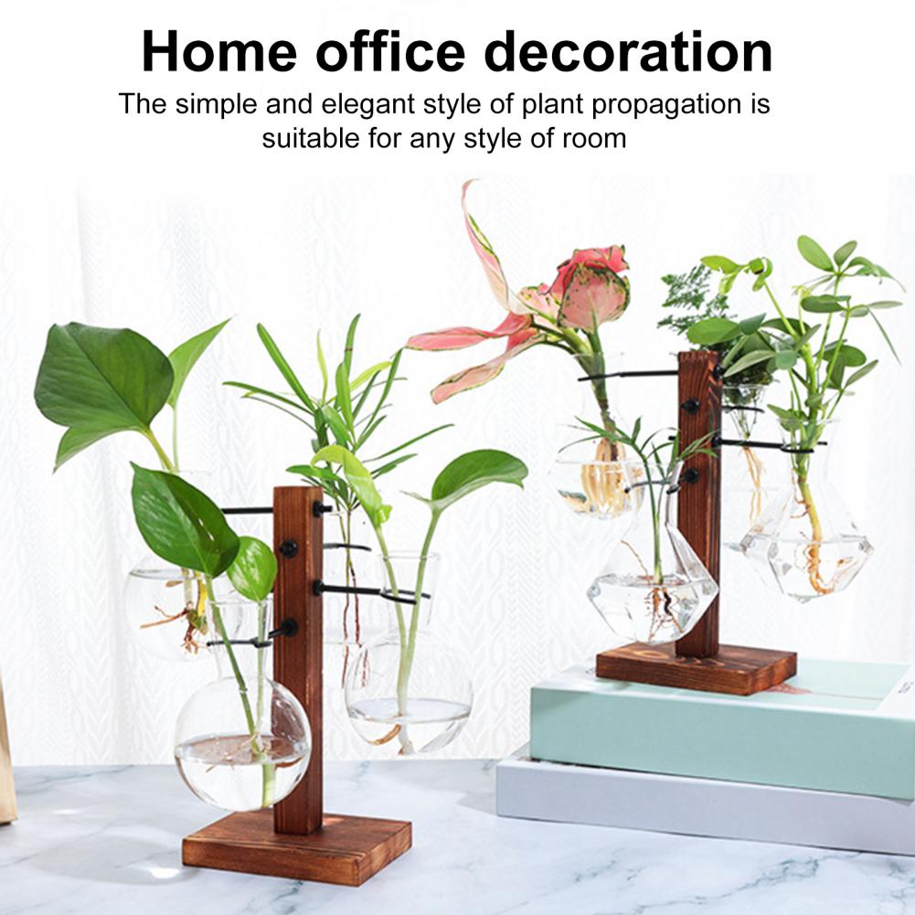 1 conjunto de estação de propa - Propagation Station Vase avaliação e preço