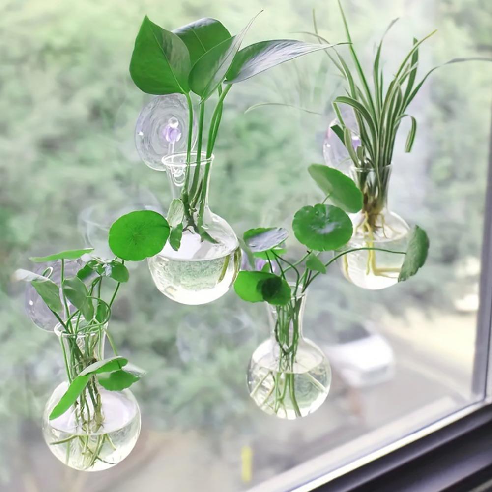 1/2/3/4/6/8 Peças Bulbo de Pro - Propagation Station Vase avaliação e preço