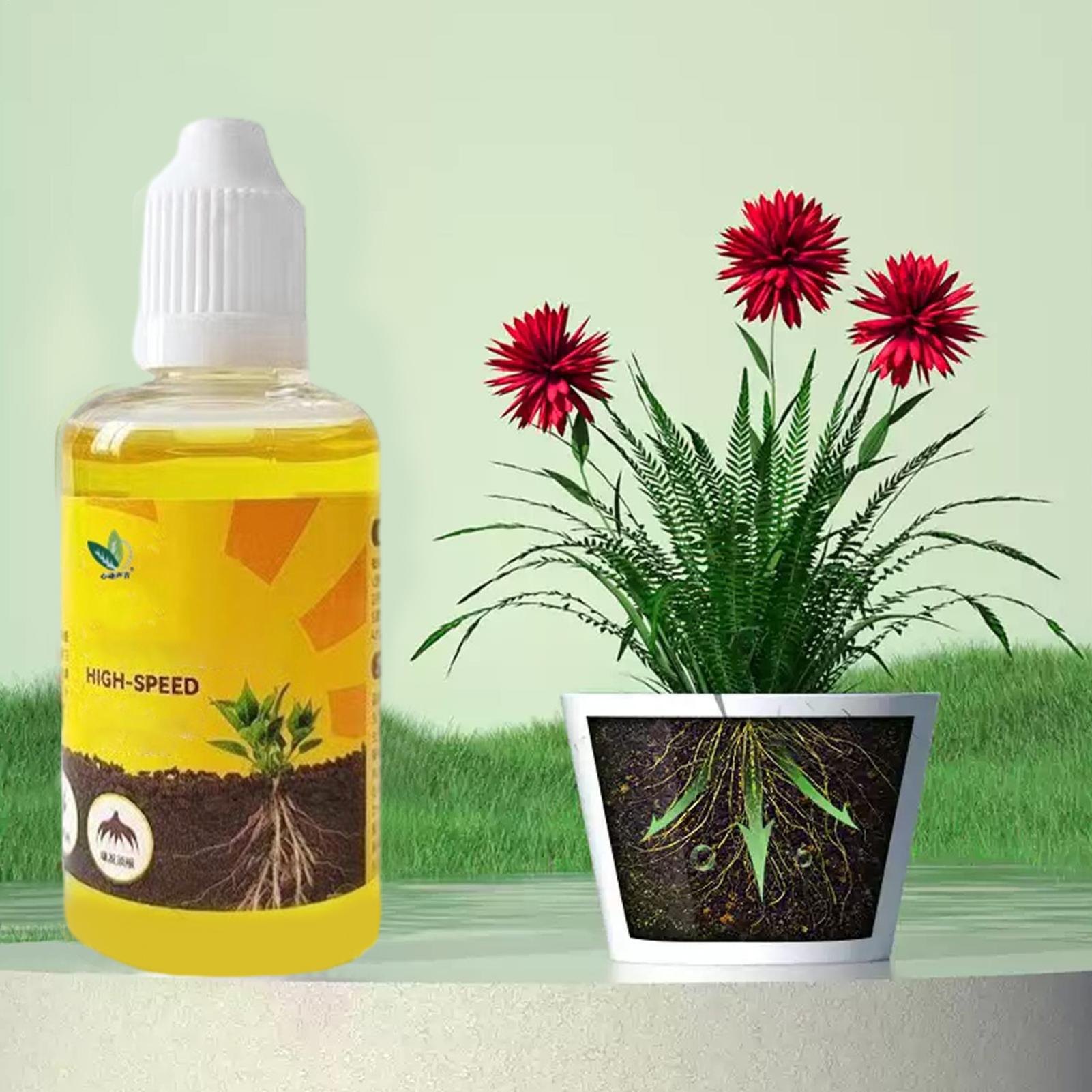 Solução de Enraizamento Rápido - Root Stimulator Liquid avaliação e preço