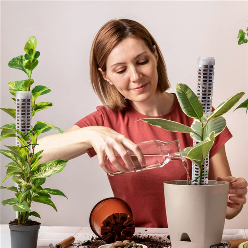 Coluna de Suporte para Plantas - Sphagnum Moss Dry avaliação e preço