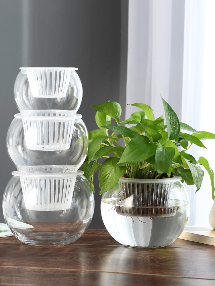 Vaso de Vidro Hidropônico para - Propagation Station Vase avaliação e preço