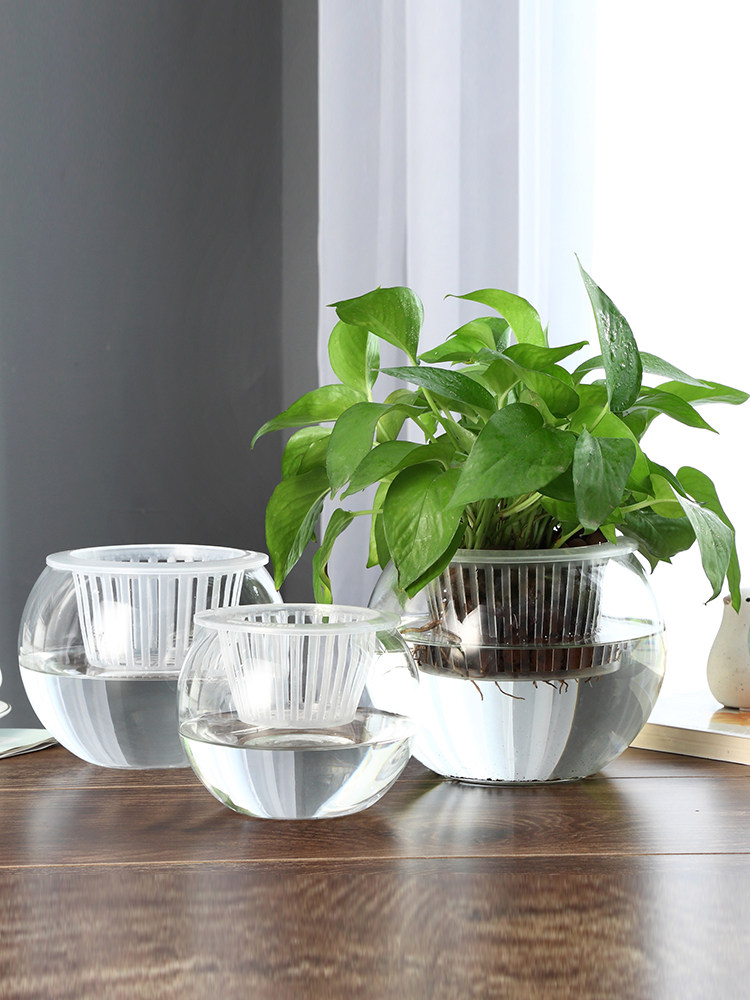 Vaso de Vidro Hidropônico para - Propagation Station Vase avaliação e preço