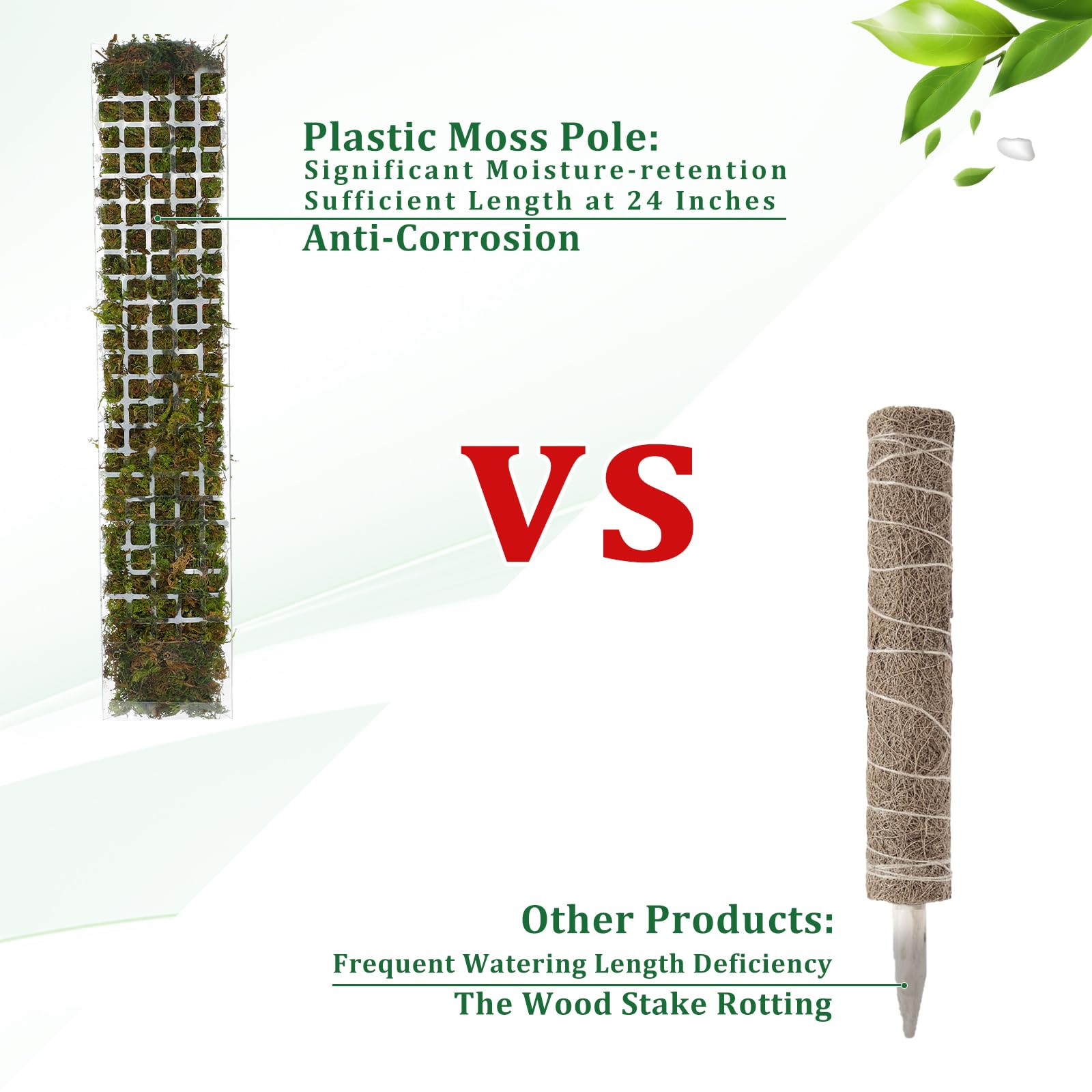 2/4/6 pçs pólo de musgo suport - Sphagnum Moss Dry avaliação e preço