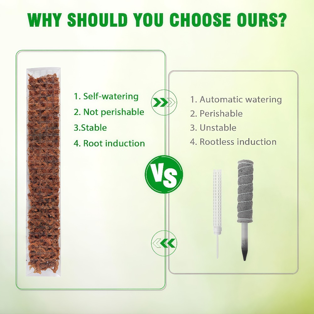 Suporte de Plástico para Plant - Sphagnum Moss Dry avaliação e preço