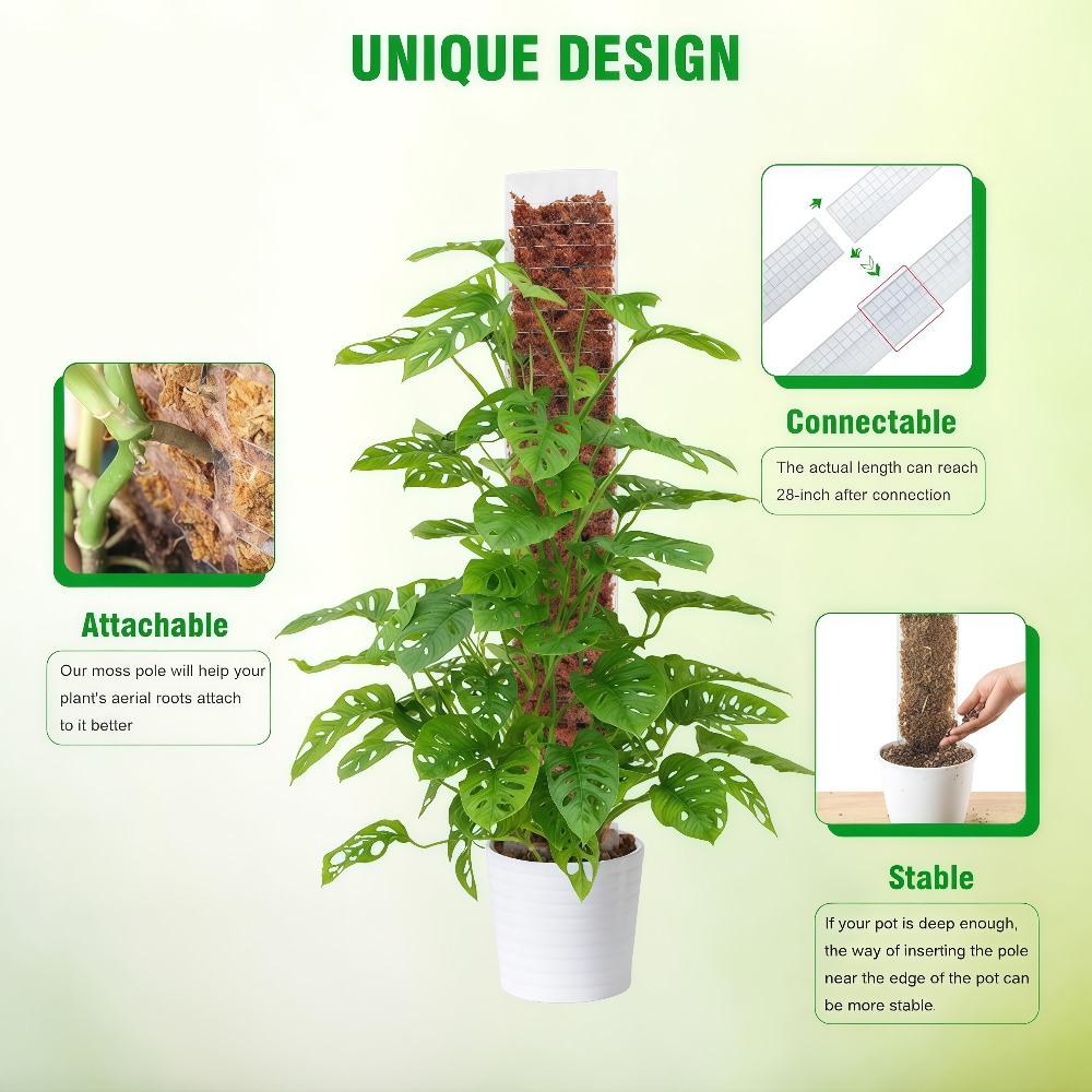 Suporte de Plástico para Plant - Sphagnum Moss Dry avaliação e preço