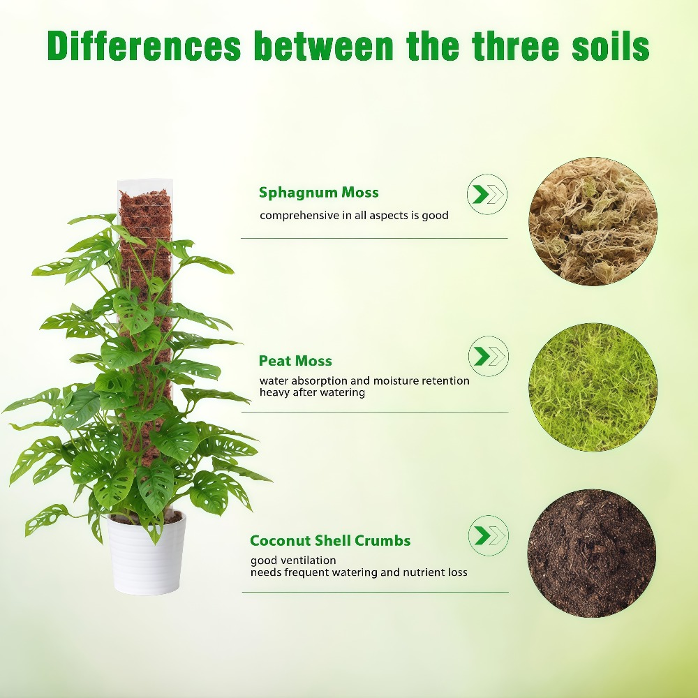Suporte de Plástico para Plant - Sphagnum Moss Dry avaliação e preço